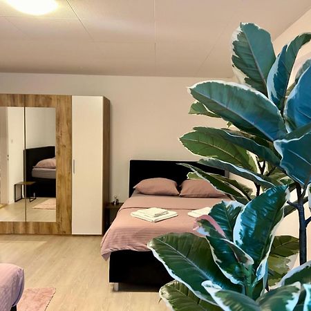 Apartmán Tas24Ch Travel And Sleep 24 St. Gallen Exteriér fotografie